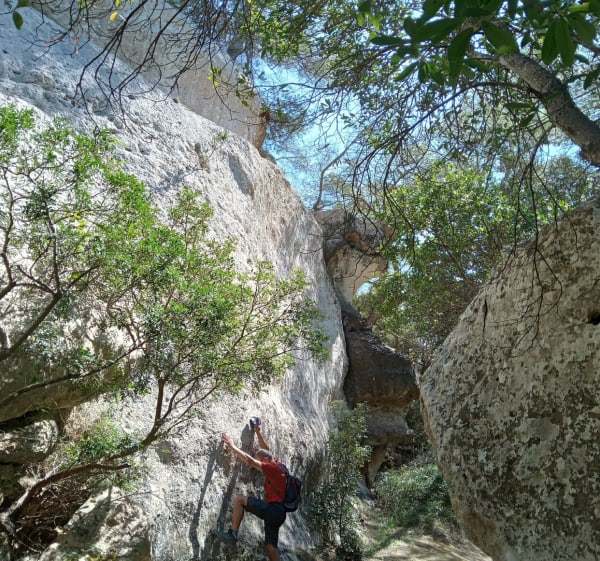Cami de Cavalls, boucle de Cala Galdana, à cala Binigauss - Cala Galdana - 1