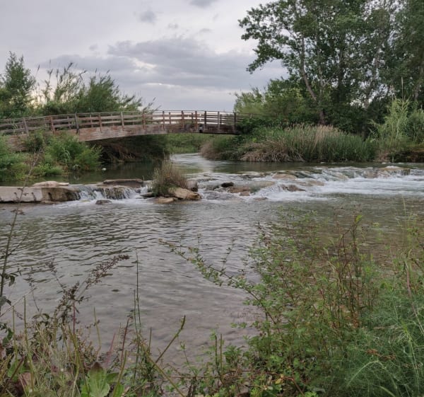 Balade le long de la Turia à Riba-roja de Túria - Riba-roja de Túria - 1