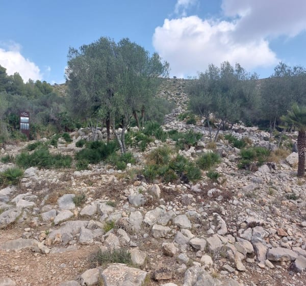 Claper dels Gegants, en partant de Font de sa Cala - Capdepera - 1