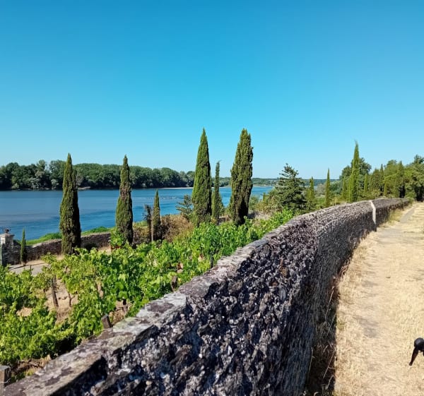 Boucle Les Alleuds - Brissac - Ste Gemmes - Brissac Loire Aubance - 1