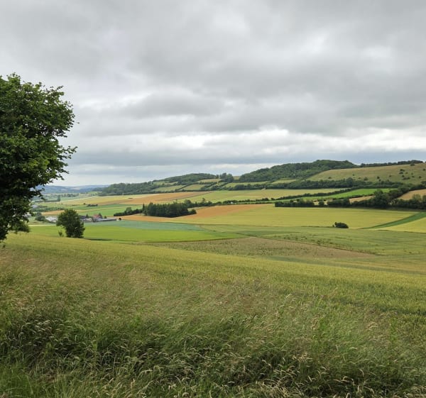 Autour de Bainghem - Bainghen - 1