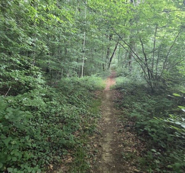 Rando VTT depuis Angecourt - Angecourt - 1