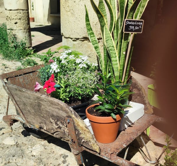 Bastide d'Armagnac par les campagnes - Cazaubon - 1
