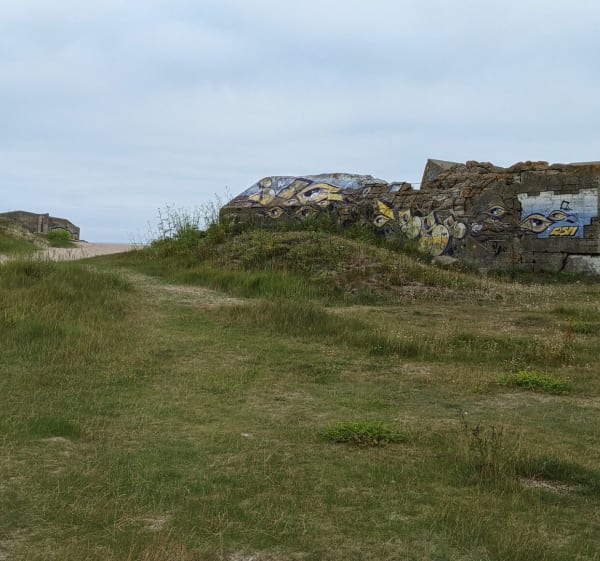 Balade à Néville sur mer - Vicq-sur-Mer - 1