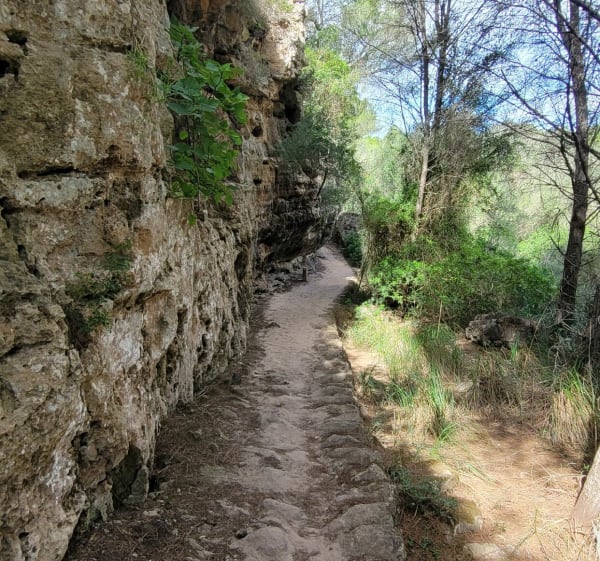 Menorca Cala Galdana, Macarella, Turqueta - Serpentona - 1