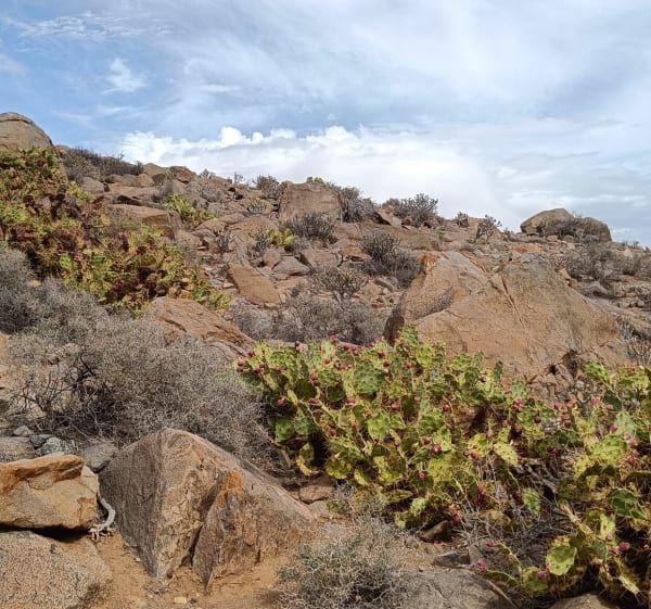 Le barrage de Betancuria, Fuerteventura - Pájara - 1