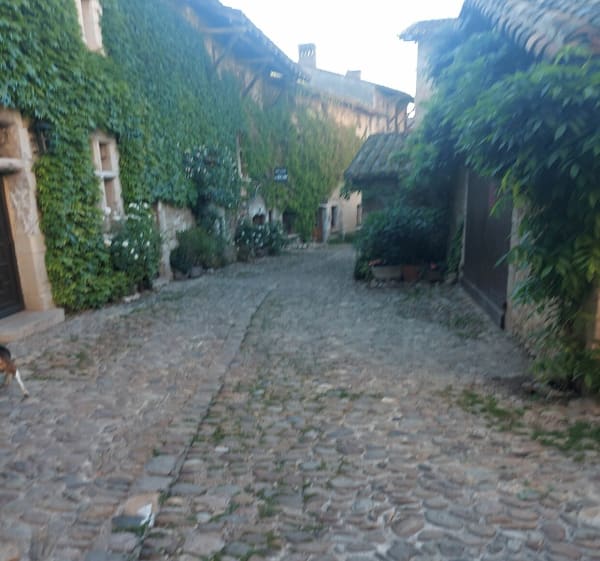 Étang de l'Aubépin et cité de Pérouges - Meximieux - 1