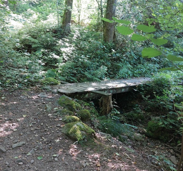 Découverte de la Croix de Parier à Rupt sur Moselle - Rupt-sur-Moselle - 1