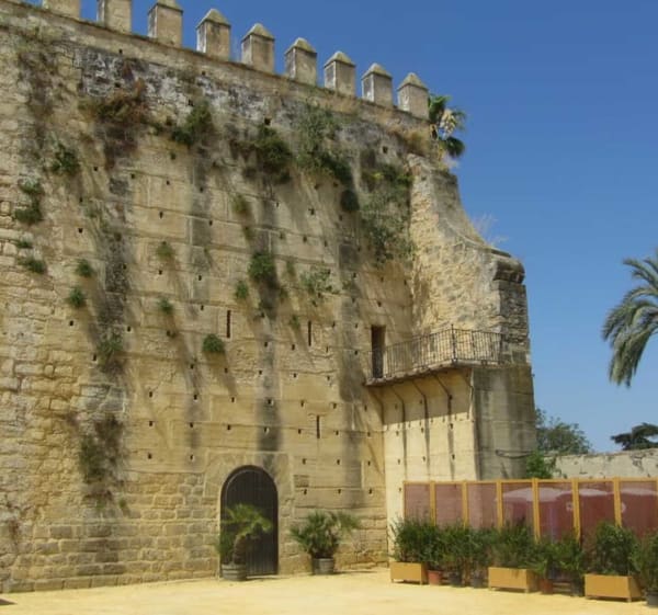 Randonnée urbaine à Jerez de la Frontera : Découverte historique et culturelle - Jerez de la Frontera - 1