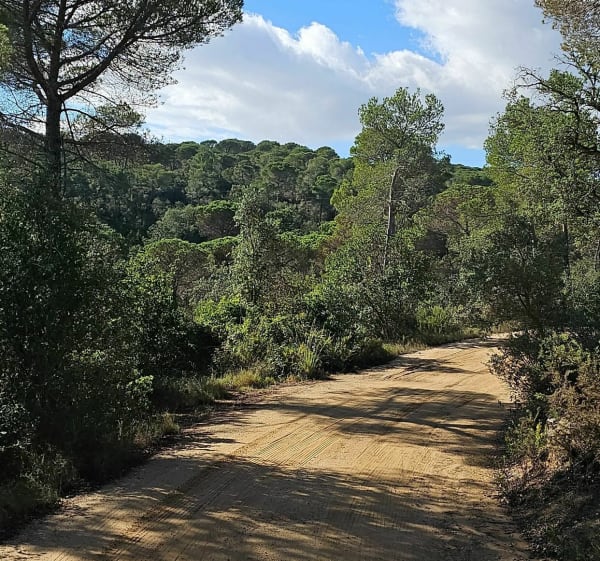 Lloret del Mar par Creu del Terme - Lloret de Mar - 1