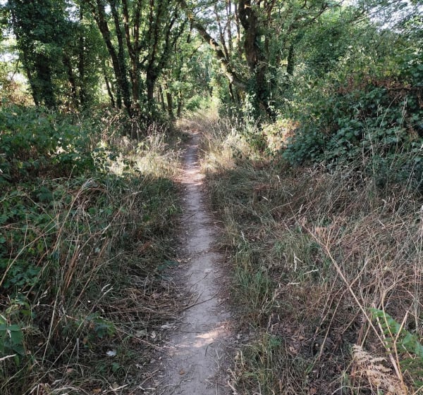 Petit tour de campagne de Saint Herblain - Saint-Herblain - 1