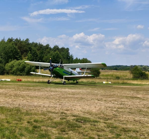 Pogoria-pystynia - Sosnowiec - 1