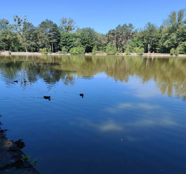 PARK IM. JÓZEFA PIłSUDSKIEGO "NA ZDROWIU" W ŁDZI 
(NA ZDROWI - Łódź - 1