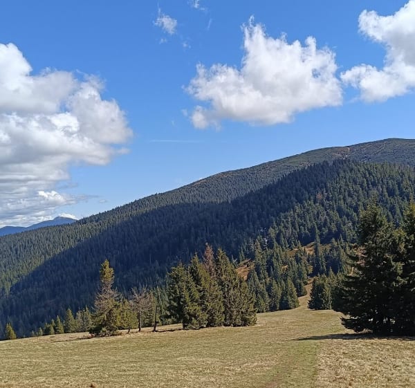 Wejście na Rysianke - Złatna - 1
