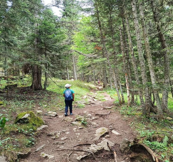 Étang de Quérigut depuis Bosc - Quérigut - 1