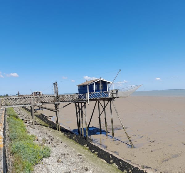 Balade de Montalivet, au Phare de Richard - Vendays-Montalivet - 1
