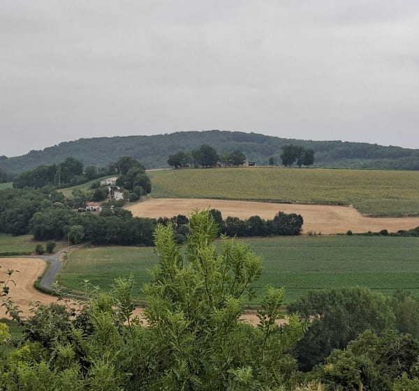 Boucle VTC depuis Le Séquestre - Le Sequestre - 1