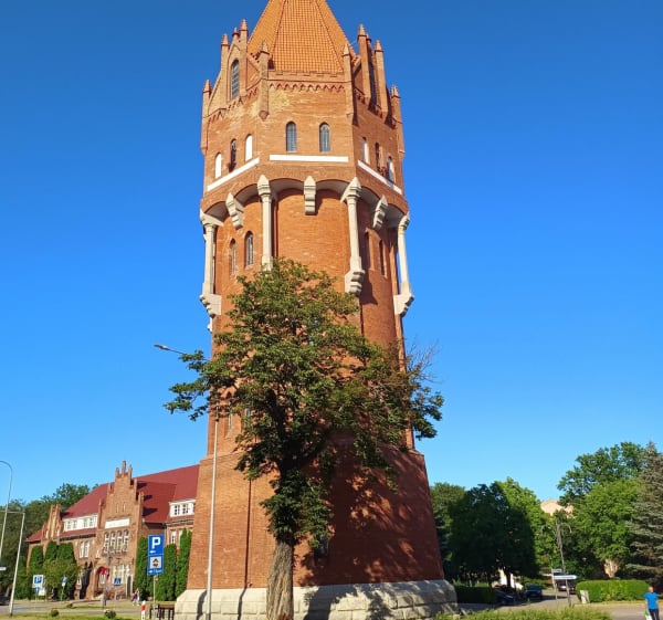 Spacer nad rzeką Nogat w Malborku - Malbork - 1