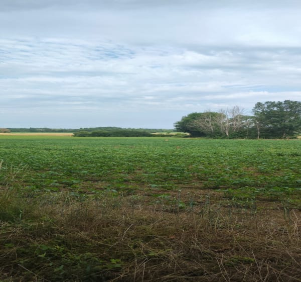 Boucle n°1 à Saint-Germain-du-Bois - Saint-Germain-du-Bois - 1