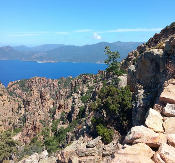 Sentiers dans les calanques de Piana - Piana - 1