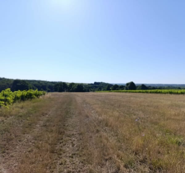 Le plateau de Civray-de-Touraine - Civray-de-Touraine - 1