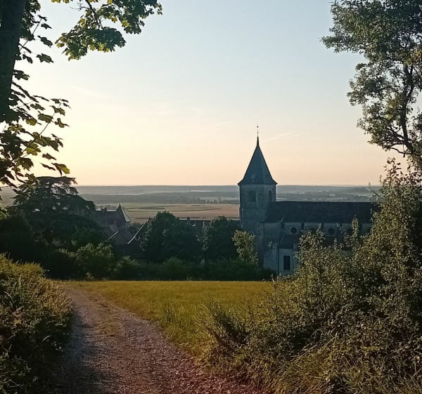 Gugumus sur les traces de son passé à Gy - Gy - 1
