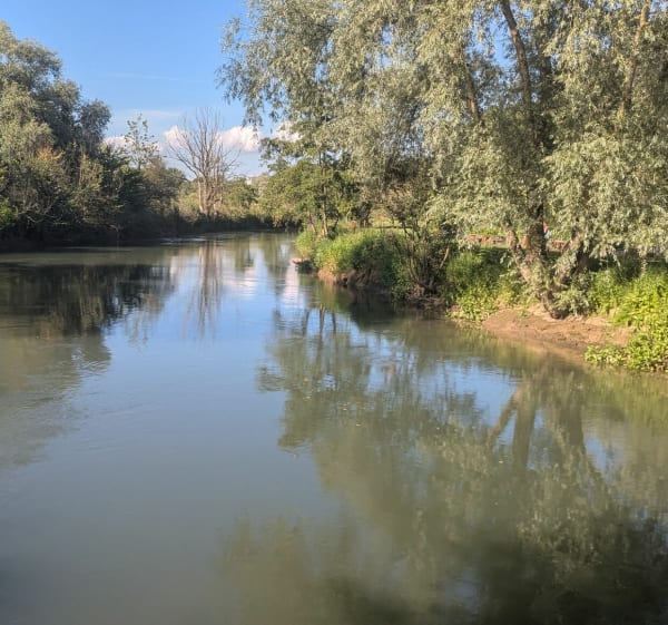 Marais d'Attin - Attin - 1