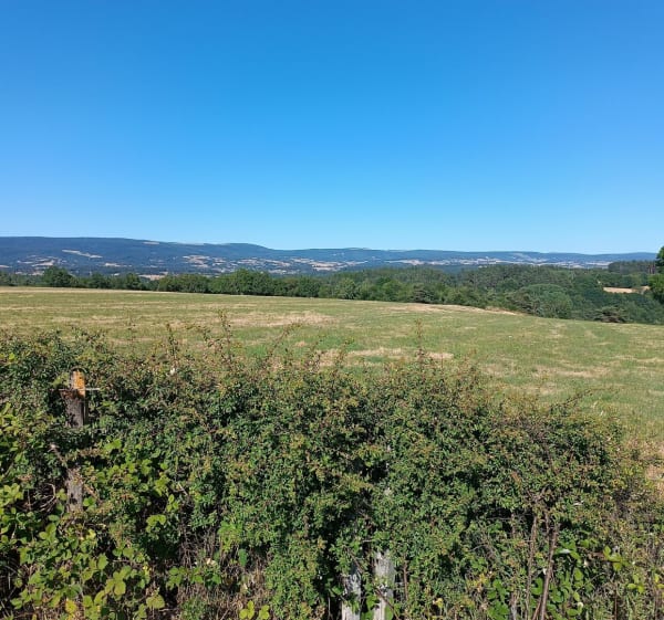 Boucle depuis Anglards-de-Saint-Flour - Anglards-de-Saint-Flour - 1