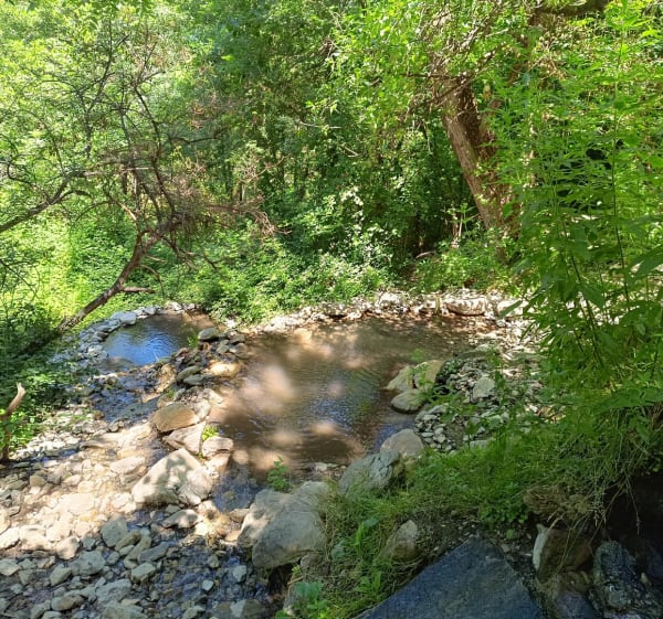 Bains naturels de Saint-Thomas - Fontpédrouse - 1