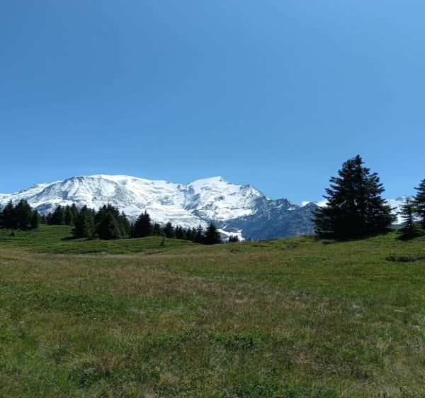 Tête de la Charme au départ du Col de Voza, TMB - Saint-Gervais-les-Bains - 1