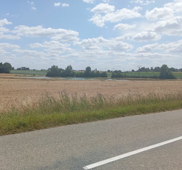 Les chemins de Clary, Maretz, Havelu - Clary - 1