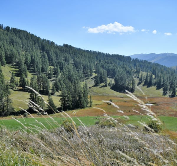 Ontdek de Mercantour vanaf de Col de Valberg per fiets - Péone - 1
