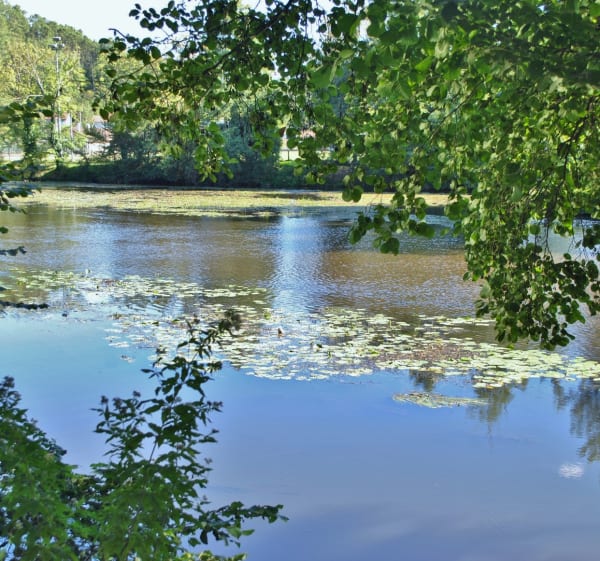 Vallée de l'Isle à vélo, de Saint-Antoine-sur-l'Isle à Mussidan (Jour 1) - Saint-Antoine-sur-l'Isle - 1