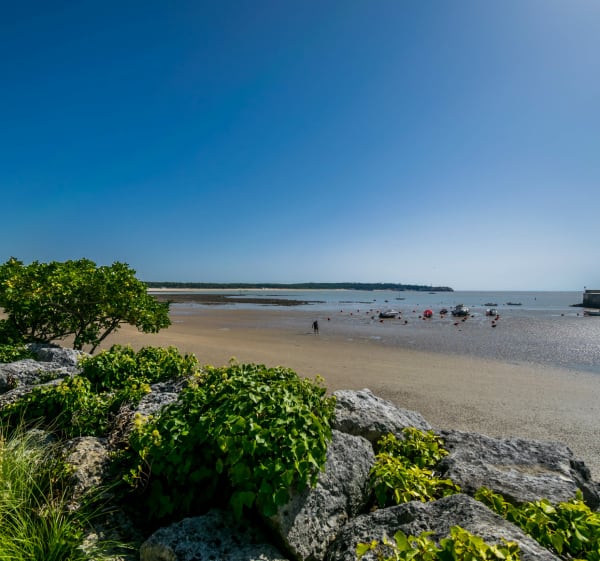 Balade entre forêt, marais et Conche de Saint-Georges-de-Didonne - Decathlon - 1