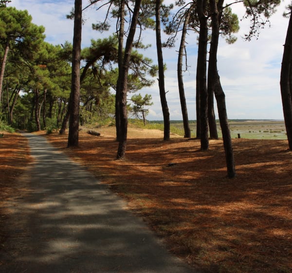 Sortie à La Palmyre par les Marais de Bréjat - Decathlon - 1