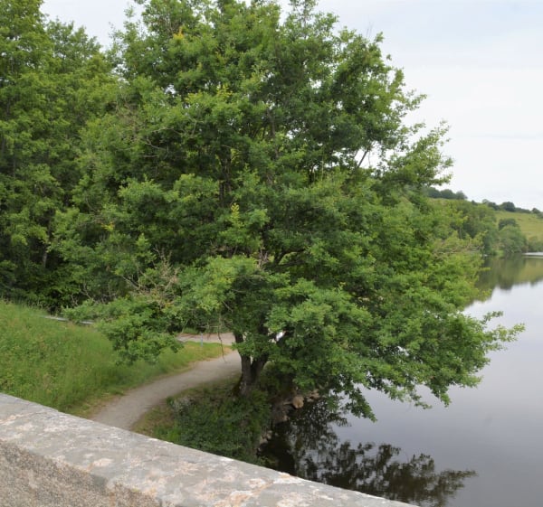 La Vallée de la Mayenne à vélo, Château-Gontier à Le Lion-d'Angers (Jour 3) - Château-Gontier-sur-Mayenne - 1