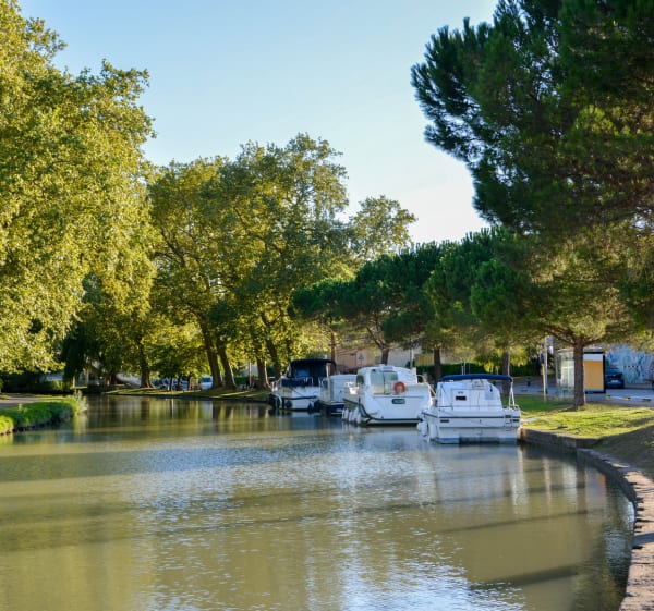 Escapade agricole et fluviale à Castelnaudary - Castelnaudary - 1