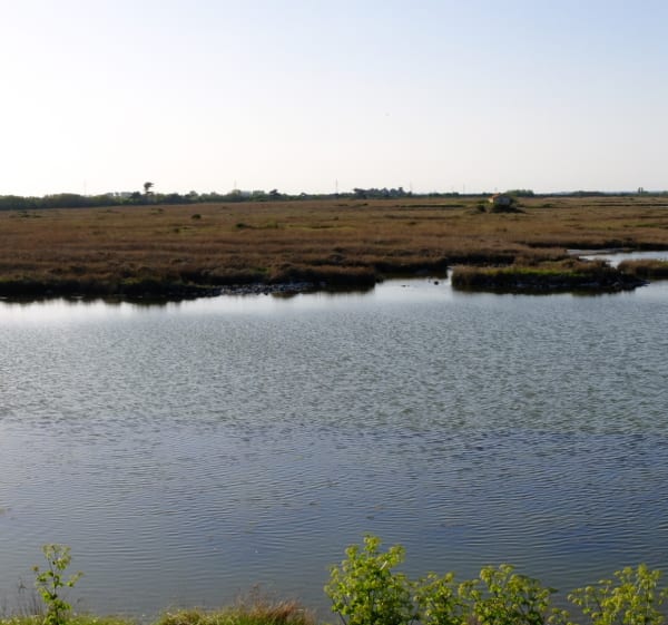 Barbâtre par le marais de la Berche à vélo - Barbâtre - 1
