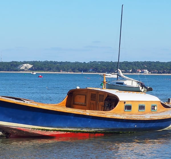 Tour du Bassin d'Arcachon depuis La Teste de Buch - La Teste-de-Buch - 1