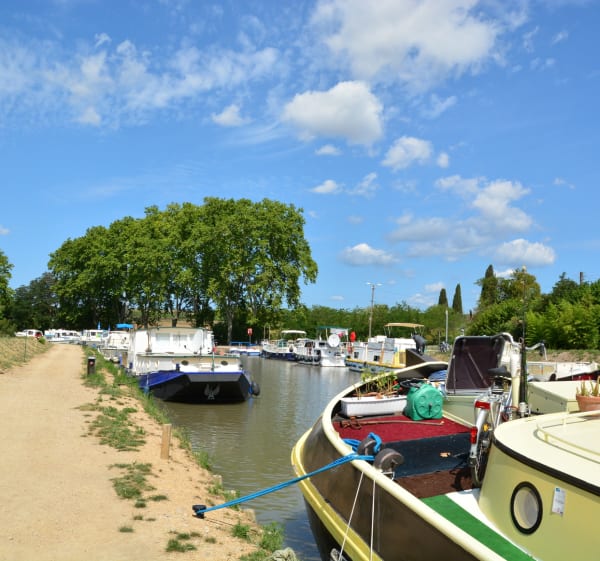 Canal du midi à Capestang - Capestang - 1