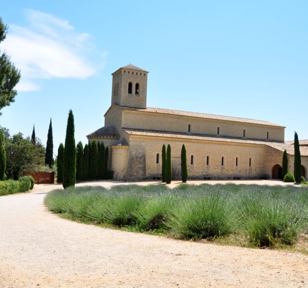 Circuit des monastères depuis Malaucène à VTC - Malaucène - 1