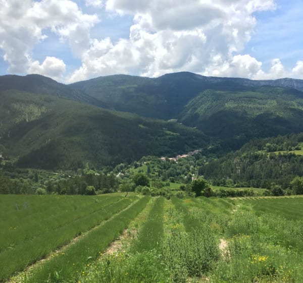 Boucle sportive à VTT  au départ de Valdrôme - N°34 FFC - Valdrôme - 1
