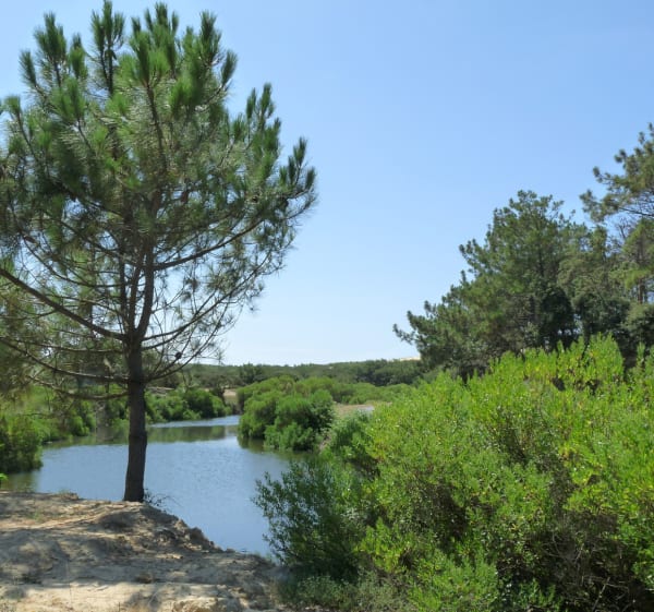 Pédaler autour du Lac de Souston - Soustons - 1