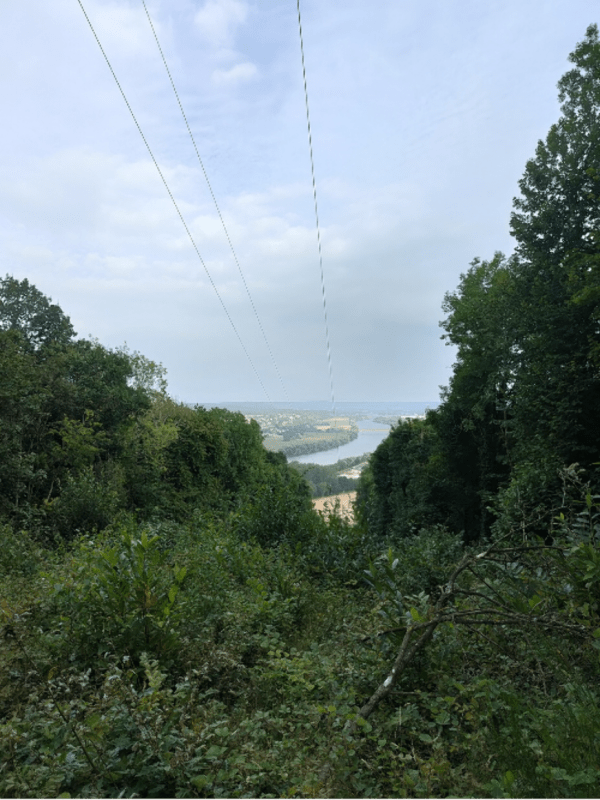 Bois de Tournebut et petite grotte cachée dans la forêt - Villers-sur-le-Roule - 1