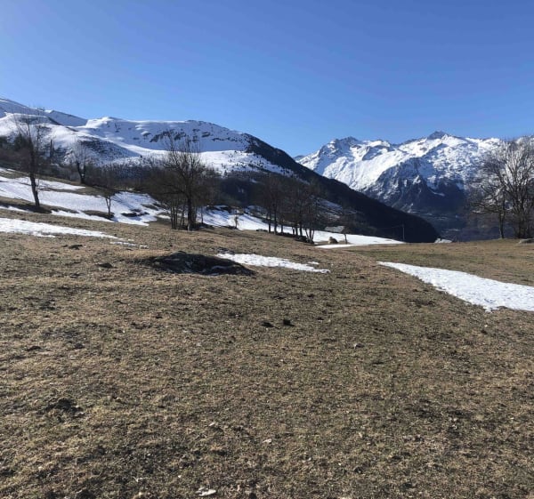 Du plateau des Lumières au Lienz à travers bois - Barèges - 1