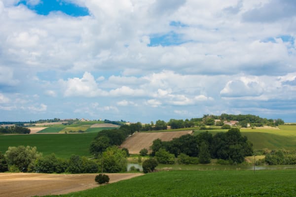 Mézin, vers Nérac, avec le petit train touristique - SirtAqui - 1