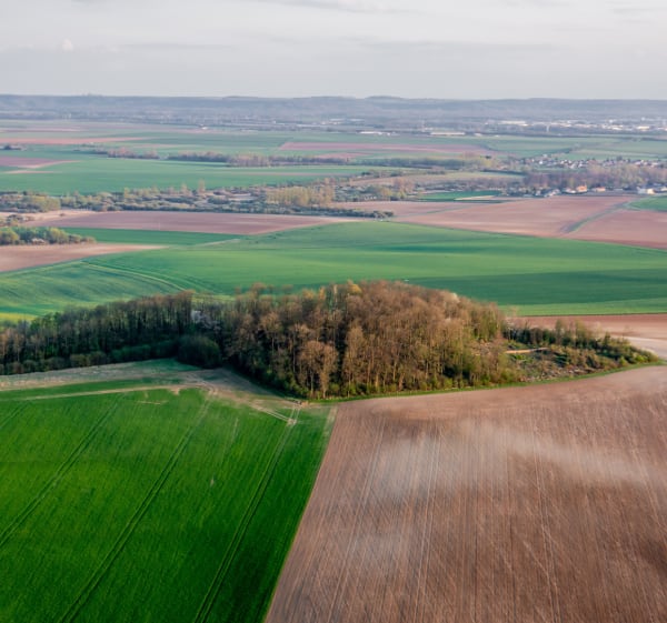 Évasion sensorielle à Ambérieux-en-Dombes - Ambérieux-en-Dombes - 1