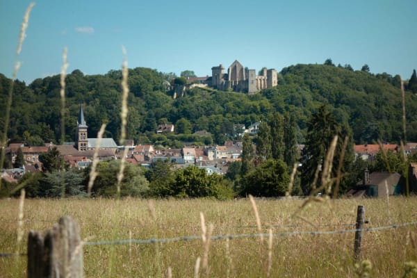De Bures à Saint-Rémy, la nature se dévoile - Bures-sur-Yvette - 1