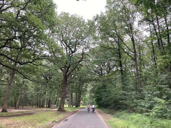 Montreuil à Brunoy, entre Seine et bois - Montreuil - 1