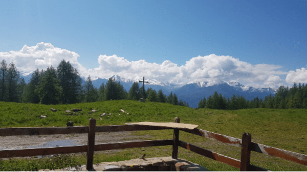 Forêts magnifiques et charmants alpages de l'Aiguille - Folampelle, Embrun - 1